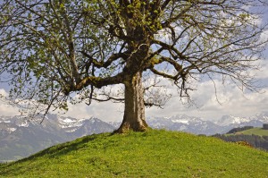 Josy Freundt Wanderauszeit