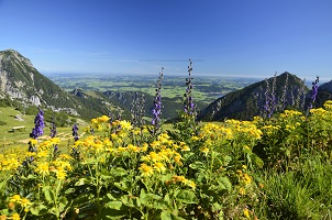 3 Tage Tannheimer Tal- wanderauszeit