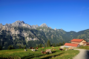 Tannheimer-Hoehenwege-mit-Josy-Freundt-wanderauszeit-Krinnenalpe.jp