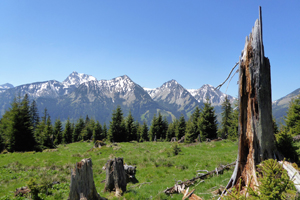 Oktober-wanderauszeit-im-Tannheimer-Ta